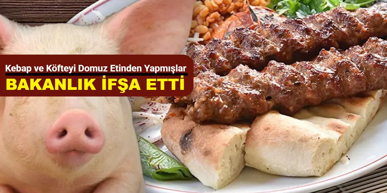 Bakanlık listeyi yayınladı: Kebap ve köfteyi domuz etinden yapmışlar