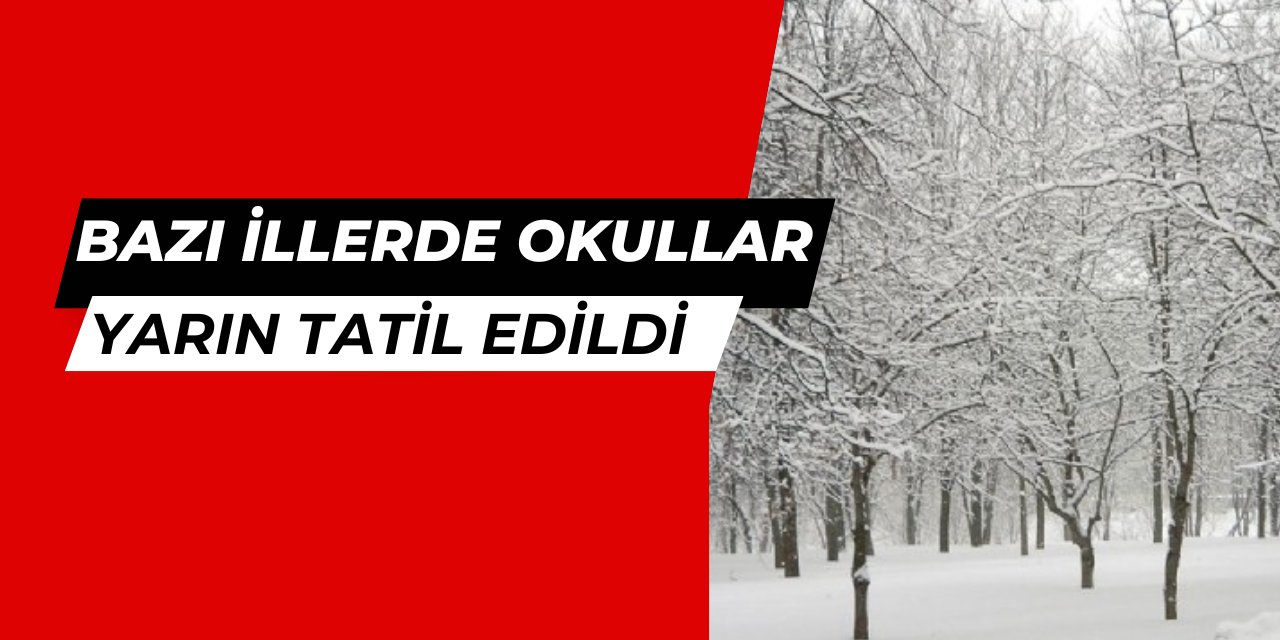 Bazı illerde okullar tatil edildi 24 Şubat 2025