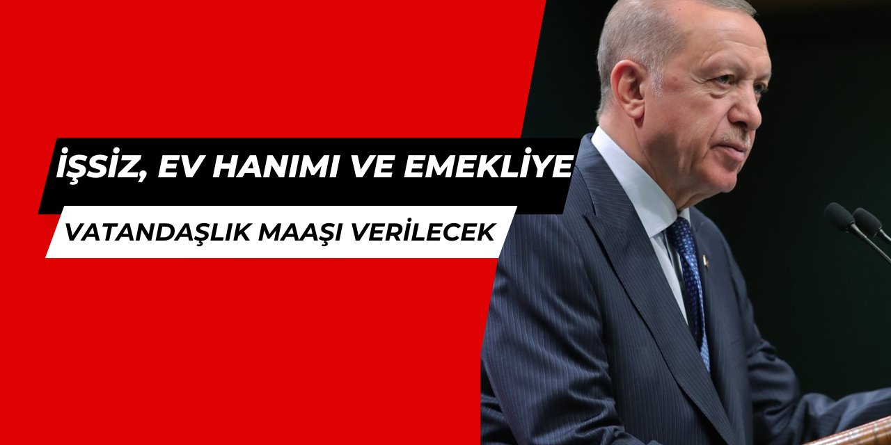 Son dakika: Ev hanımlarına, işsizlere ve emeklilere vatandaşlık maaşı: Başvuru ne zaman 2025