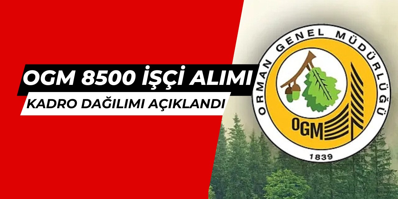 OGM 8500 personel ve işçi alımı kadro dağılımı belli oldu