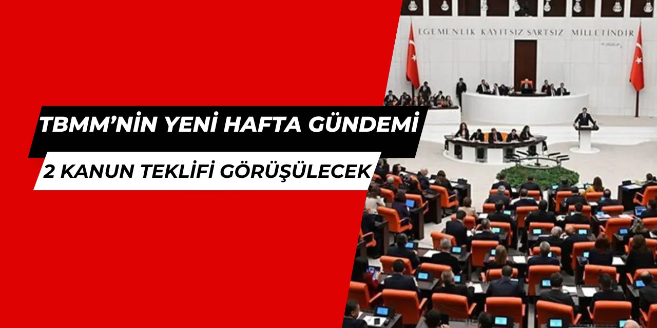 TBMM'de bu hafta 2 kanun teklifi var: İşte 3-7 Mart meclis gündemi