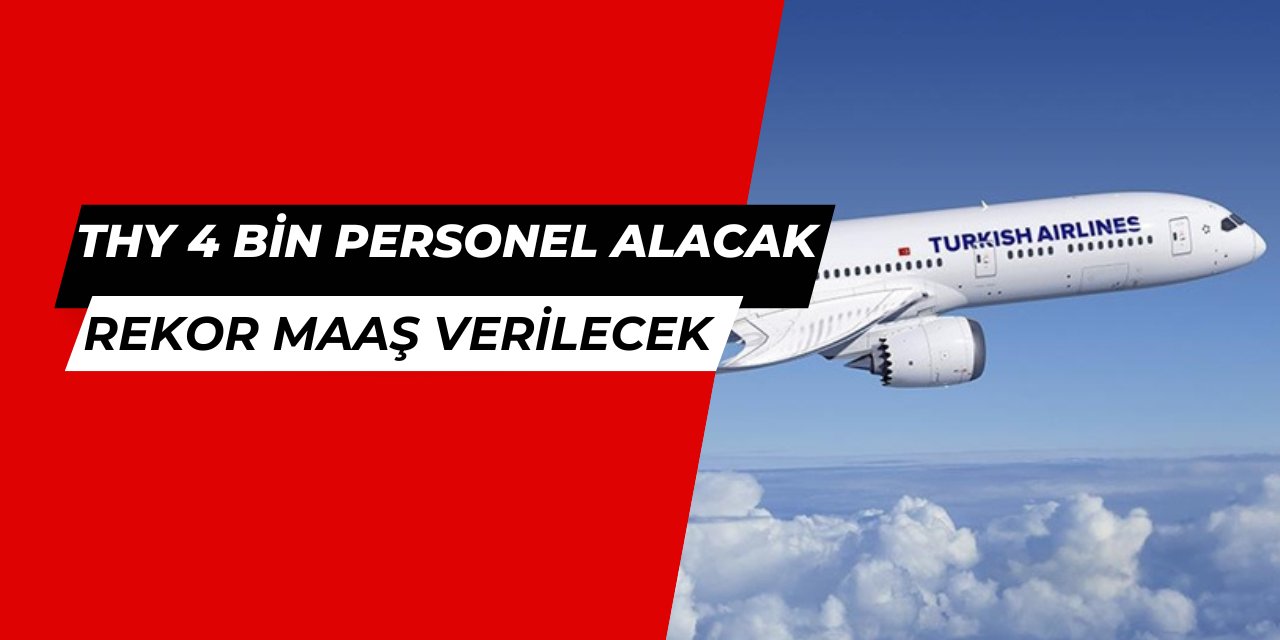 THY 4 bin personel alımı yapacak: Kabin memuru, işçi, sekreter...