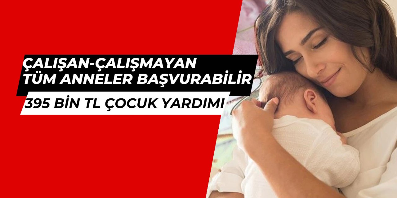 Çalışan-çalışmayan tüm annelere 395 bin TL doğum yardımı: Başvuru nasıl yapılacak?