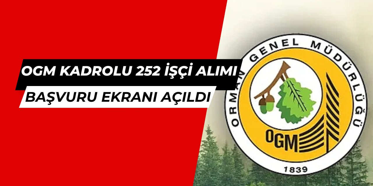 Orman Genel Müdürlüğü OGM 252 daimi işçi alımı başvuru ekranı açıldı