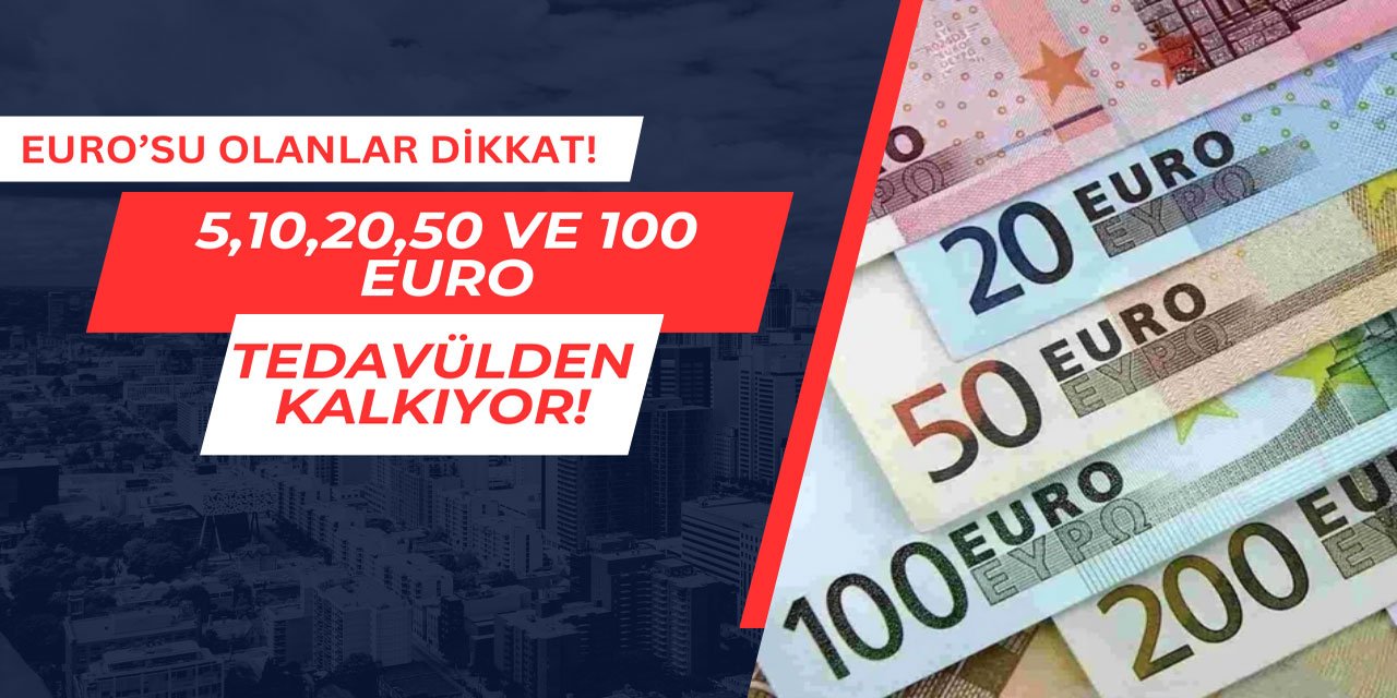 5,10,20,50 ve 100 Euro tedavülden kalkıyor!