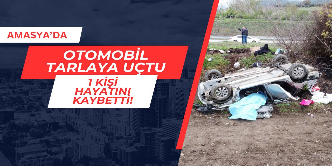 Amasya'da otomobil tarlaya uçtu