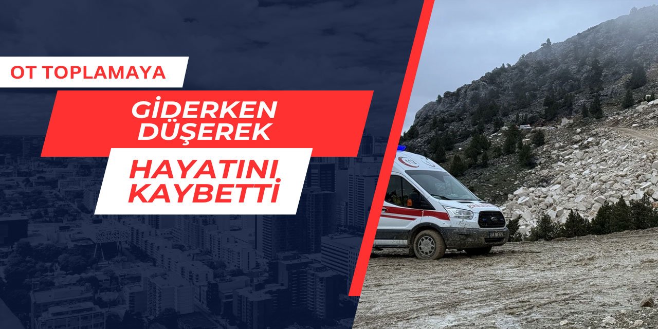 Ot toplamaya giderken düşerek hayatını kaybetti