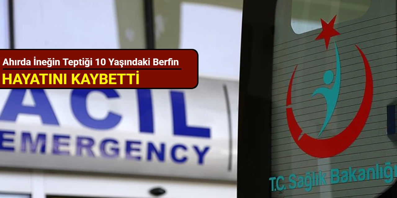 Ahırda ineğin teptiği 10 yaşındaki Berfin, hayatını kaybetti