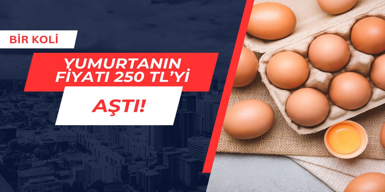 30'lu yumurta 250 TL'yi aştı