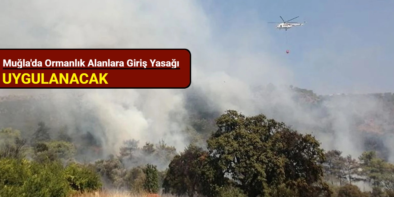 Muğla'da ormanlık alanlara giriş yasağı uygulanacak