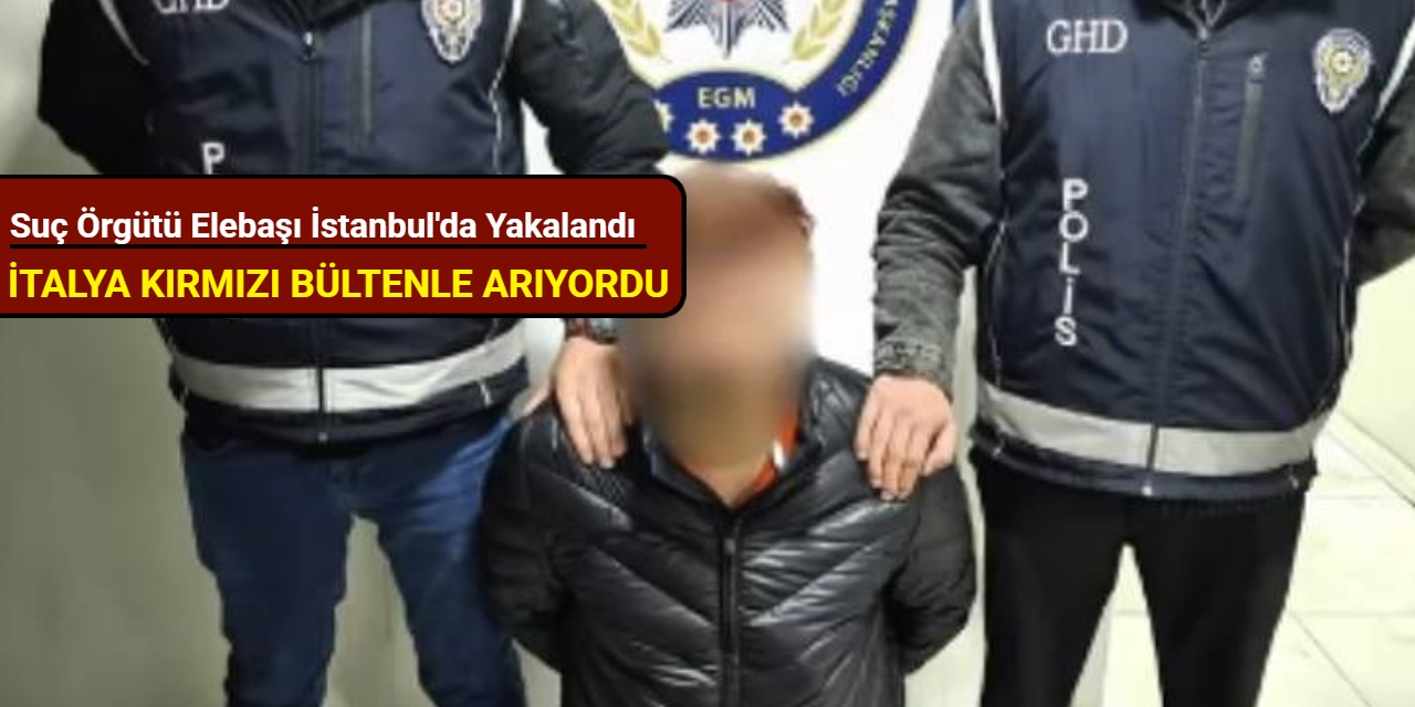 İtalya kırmızı bültenle arıyordu: Suç örgütü elebaşı İstanbul'da yakalandı