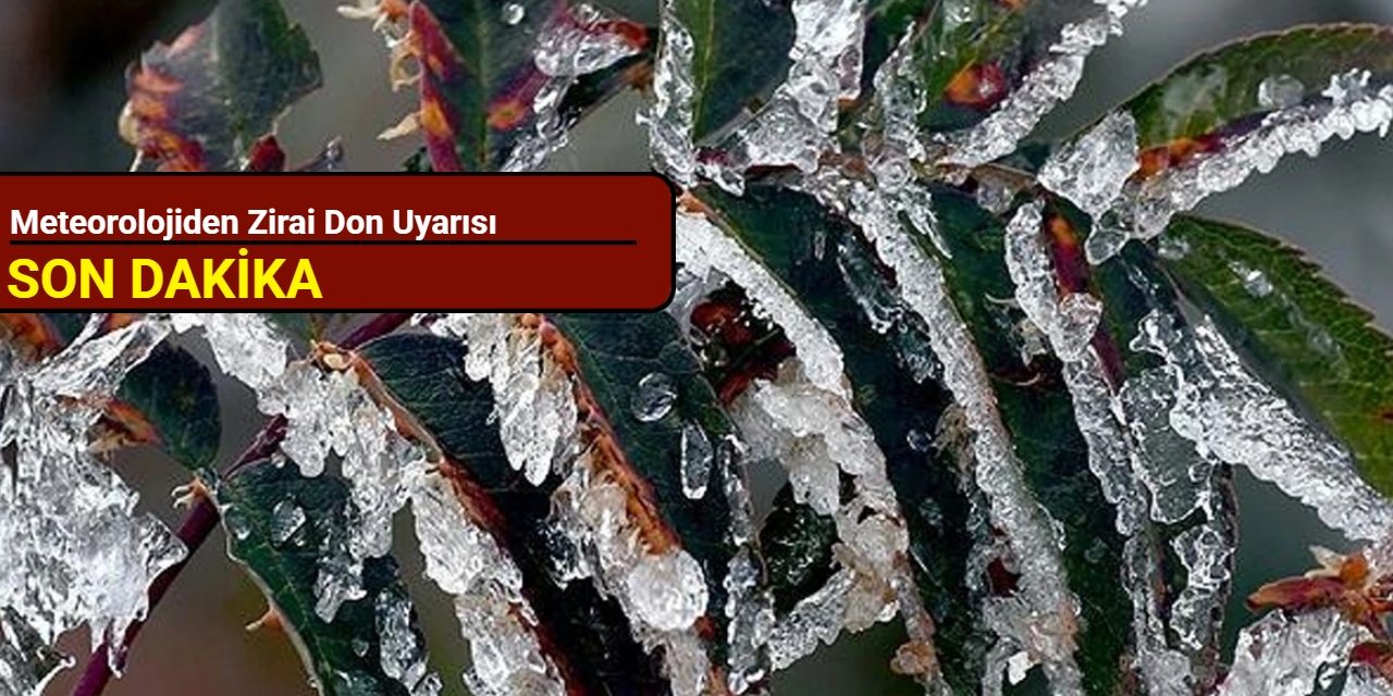 Meteorolojiden zirai don uyarısı