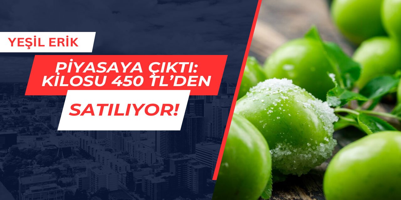 Erikler piyasaya çıktı: Kilosu 450 TL'den satılıyor