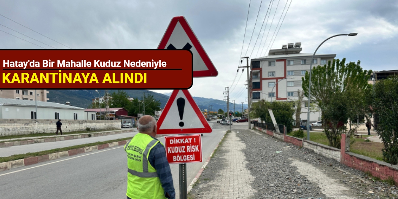 Hatay'da bir mahalle kuduz nedeniyle karantinaya alındı