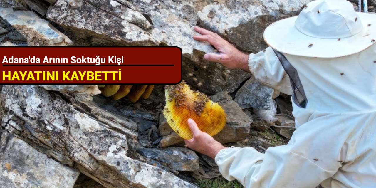 Adana'da arının soktuğu kişi hayatını kaybetti