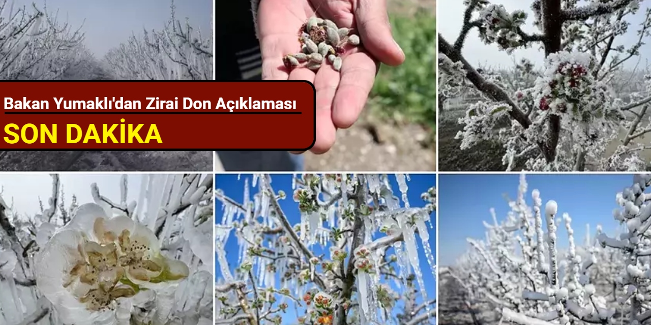Bakan Yumaklı'dan zirai don açıklaması