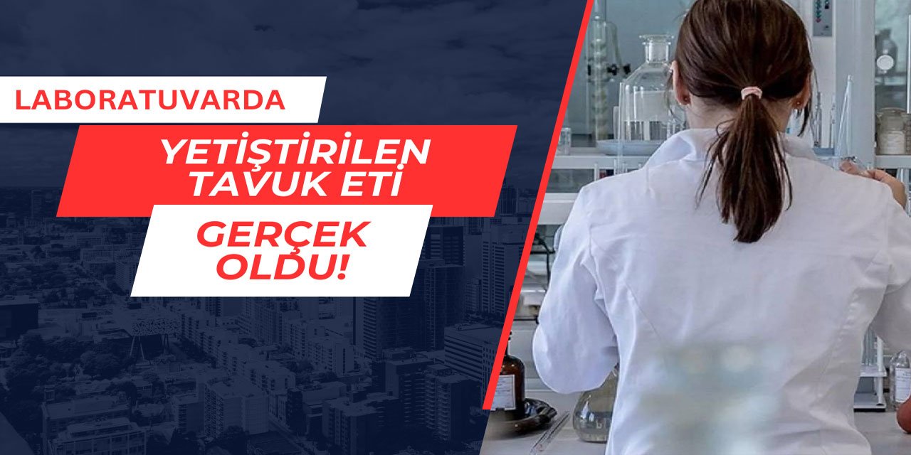 Laboratuvarda yetiştirilen tavuk eti gerçek oldu