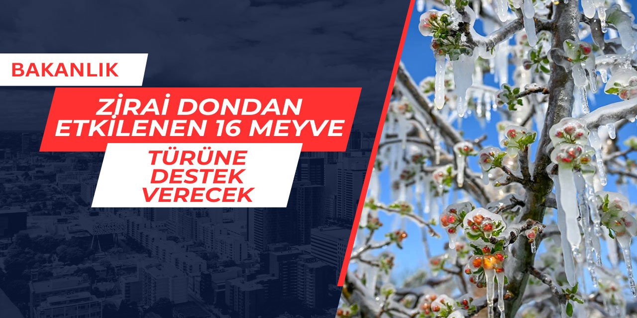 Bakanlık zirai dondan etkilenen 16 meyve türü için destek verecek