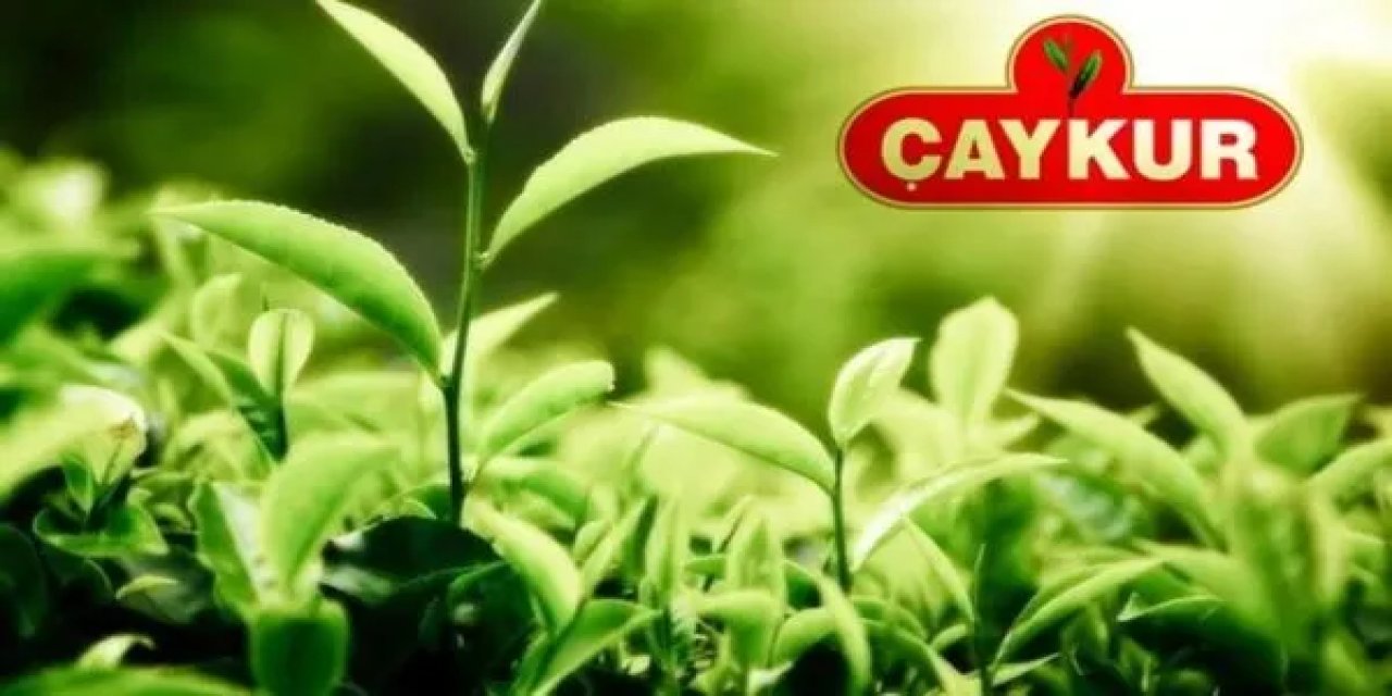 Çaykur 1500 mevsimlik işçi alımının neden geciktiği belli oldu