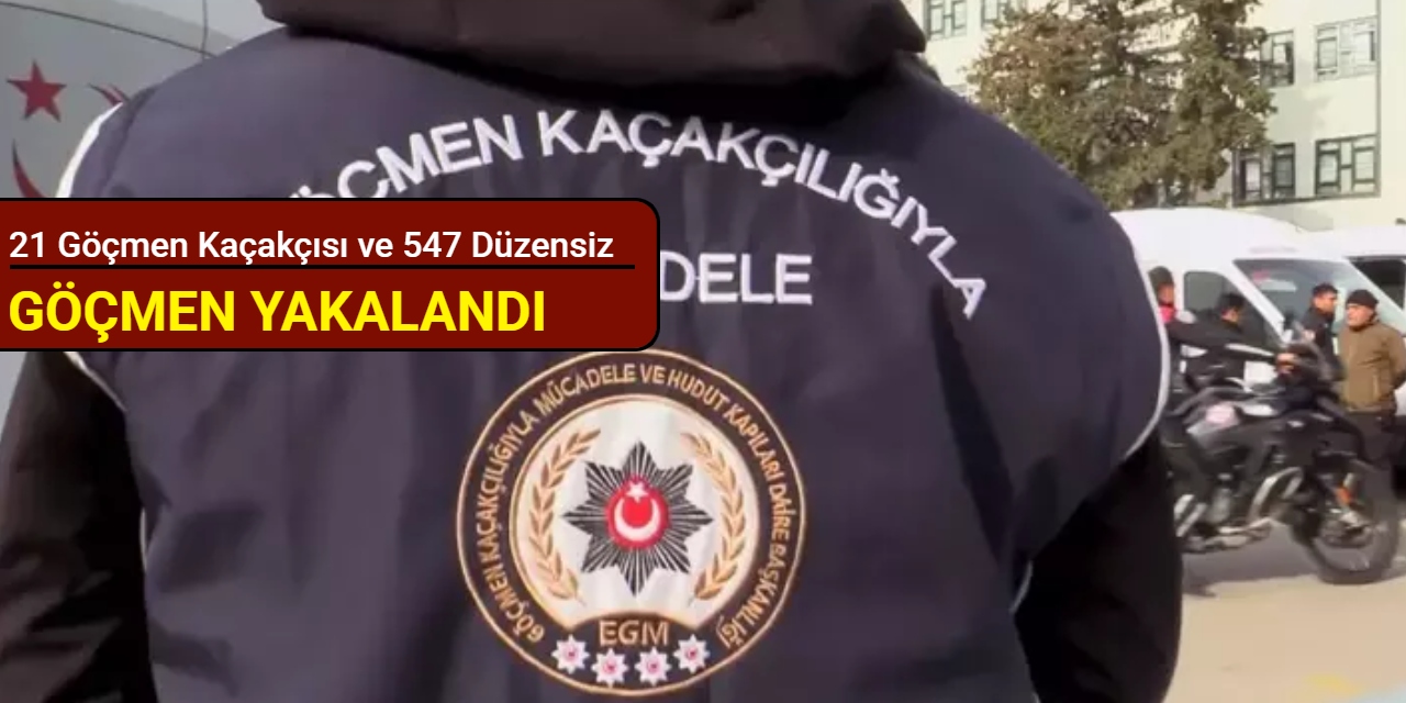 21 göçmen kaçakçısı ve 547 düzensiz göçmen yakalandı