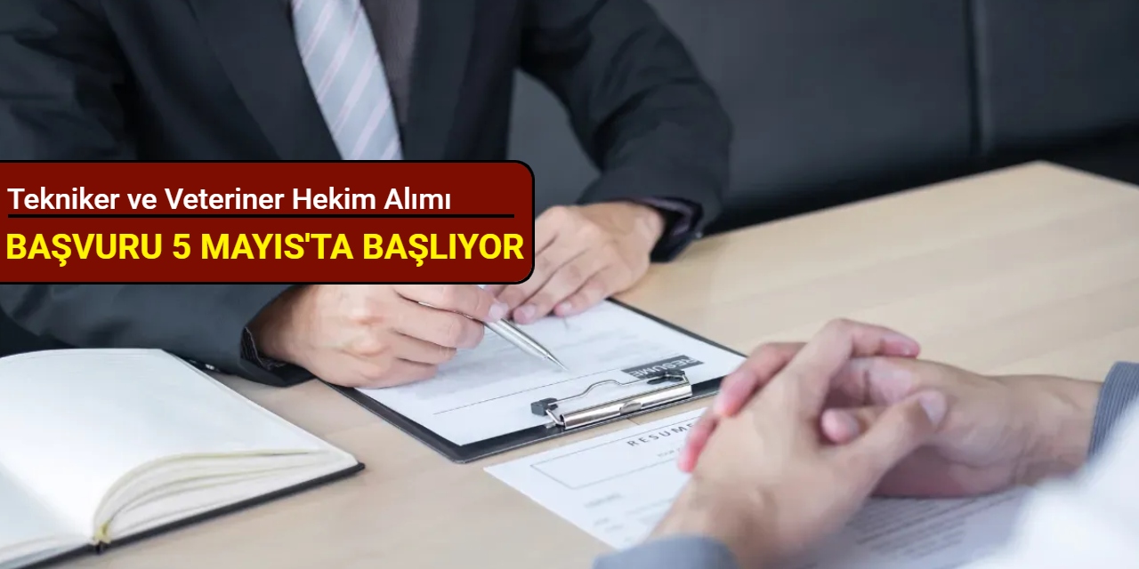 Tekniker ve veteriner hekim alımı: Ceylanpınar Belediyesi memur alımı başvuru formu yayımlandı 2025