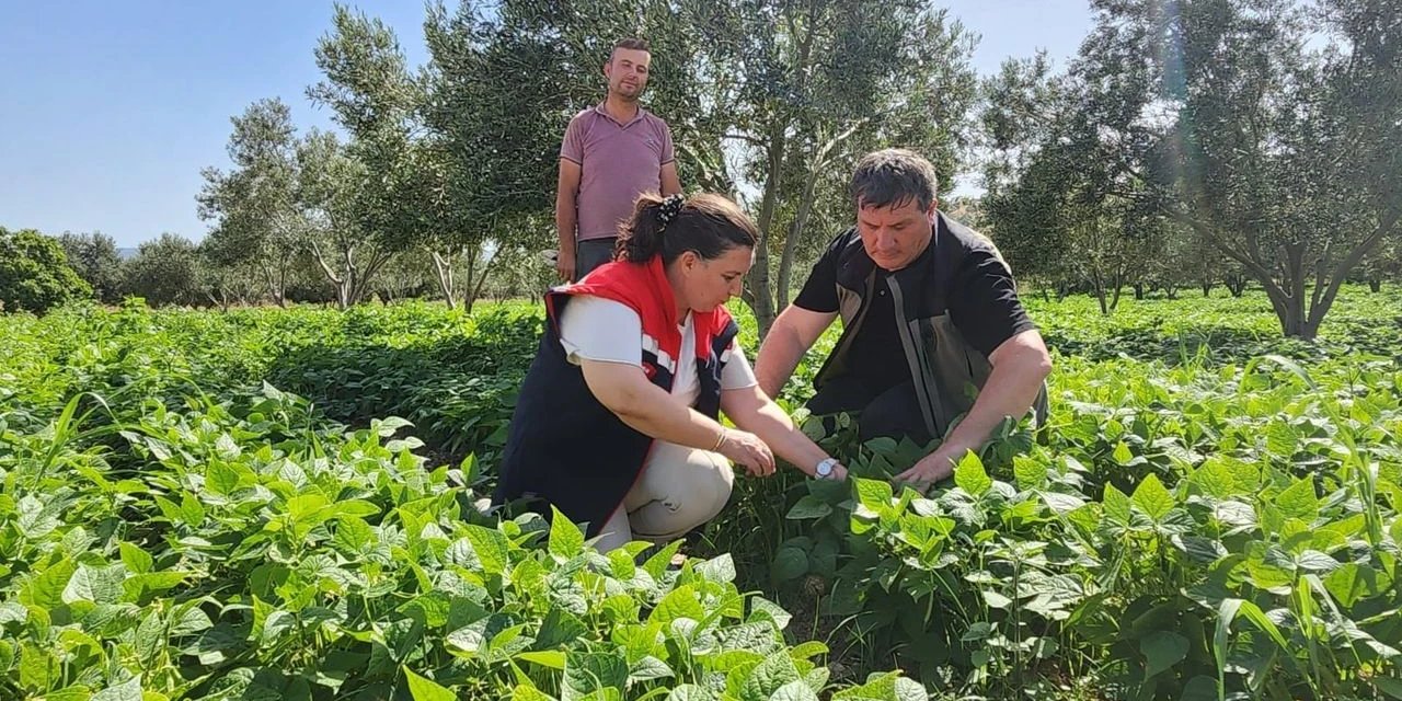 Çiftçilik yapacak gençlere iyi haber: Müjde 14 Mayıs'ta