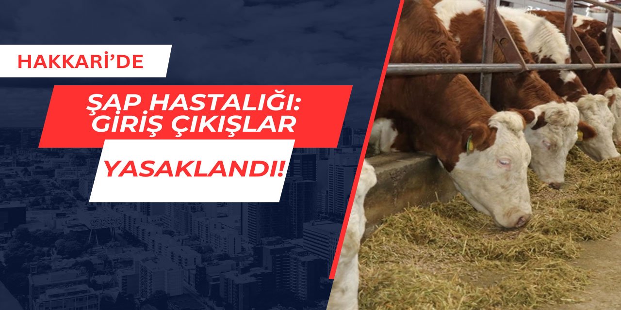 Hakkari'de şap hastalığı: Giriş çıkışlar yasaklandı