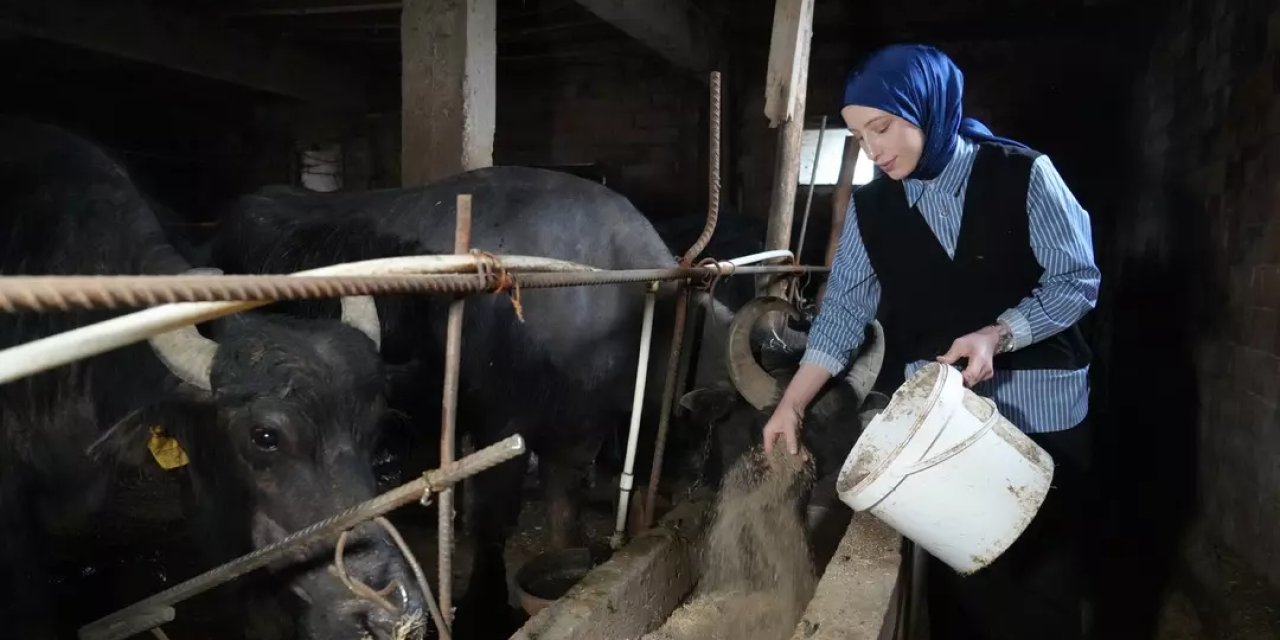 KPSS ile atanma yerine 100 bin liraya kendi işini kurdu: Siparişlere yetişemiyor