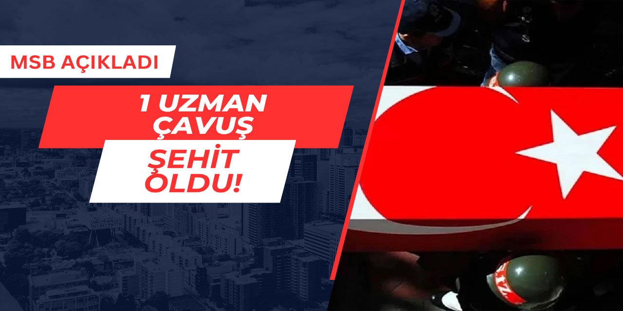 MSB Açıkladı: 1 uzman çavuş şehit oldu