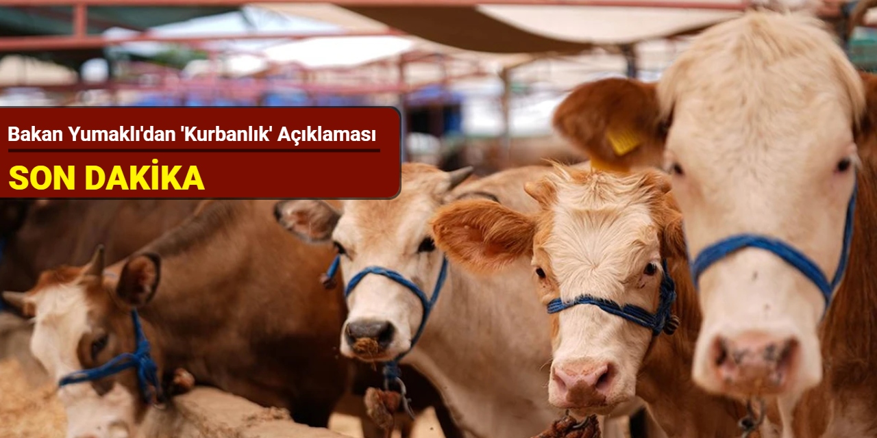 Bakan Yumaklı'dan 'kurbanlık' açıklaması