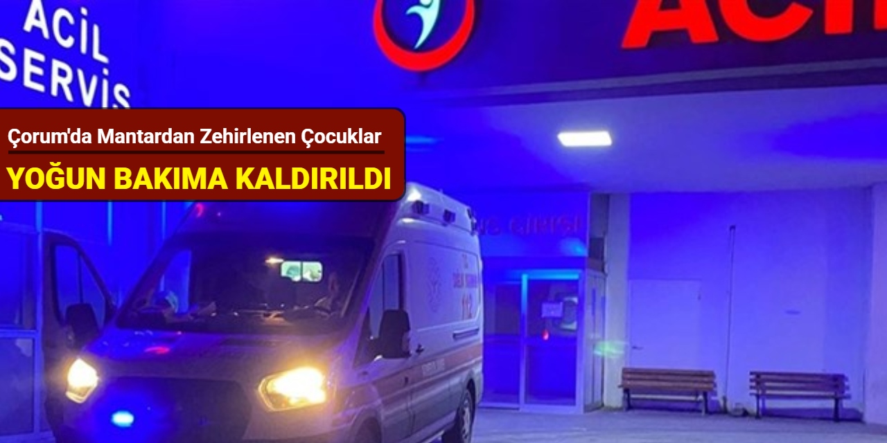 Çorum'da mantardan zehirlenen çocuklar yoğun bakıma kaldırıldı