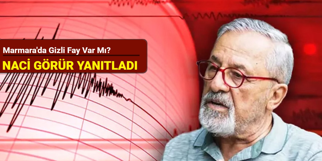 Marmara'da gizli fay var mı? Prof. Dr. Naci Görür yanıtladı