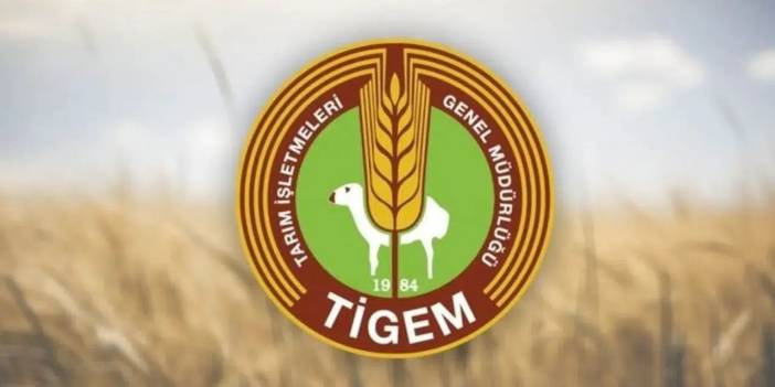 TİGEM 211,9 Ton Yağlık Ayçiçeğini İhaleyle Satışa Çıkarıyor: İhale Tarihi Belli Oldu