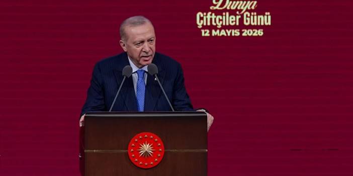 Köye Dönene Destek Paketi: Hem Arsa Hem Teşvik Dönemi Başladı