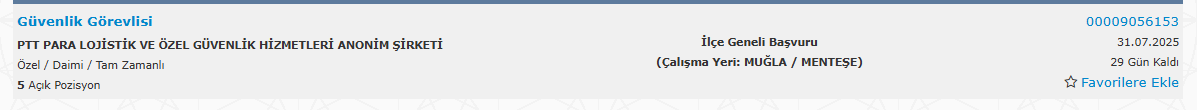 sadsa324324.png