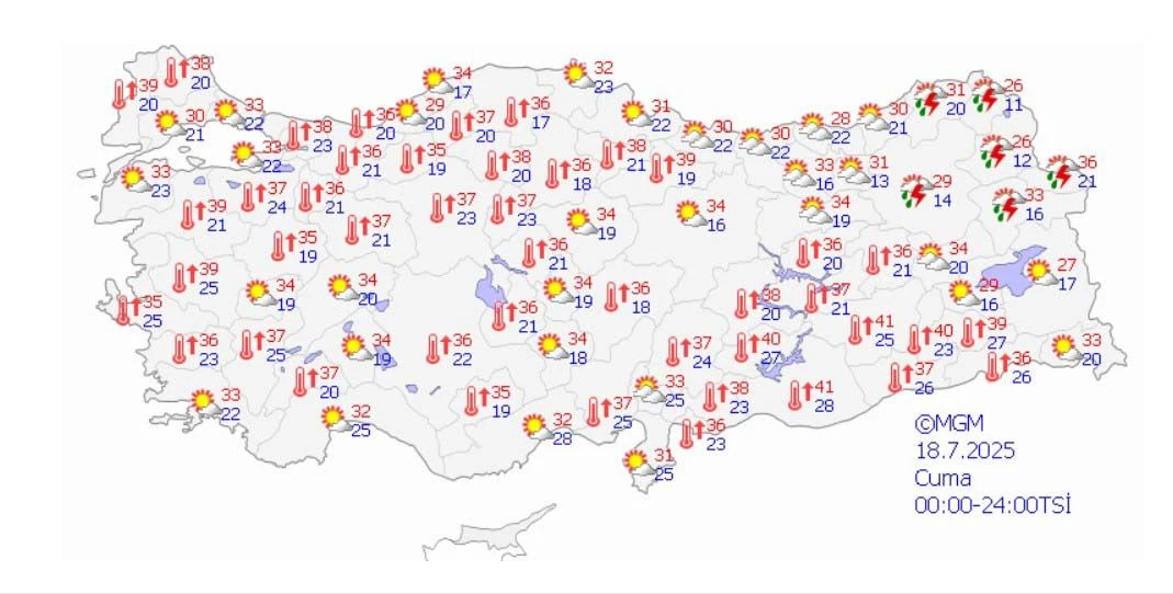 5.webp