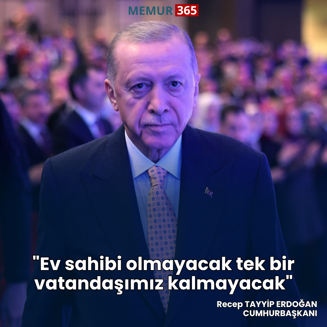 kuzey-korede-bosanma-avukatlari-issiz-kaldi-42.png