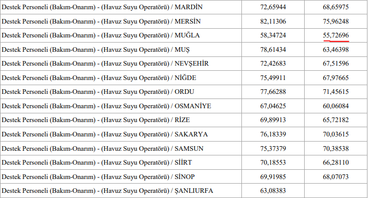 havuz-suyu-operatoru-nedir.png